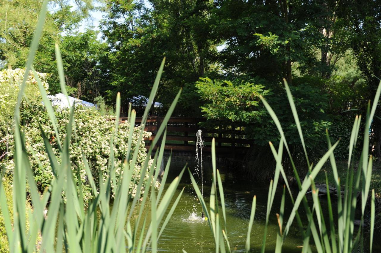 Giardino Di Rebecca Bed & Breakfast Castiglione di Ravenna Eksteriør bilde
